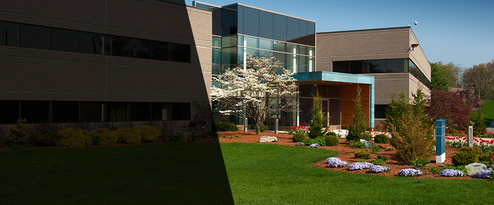 Stoneham Landscapers