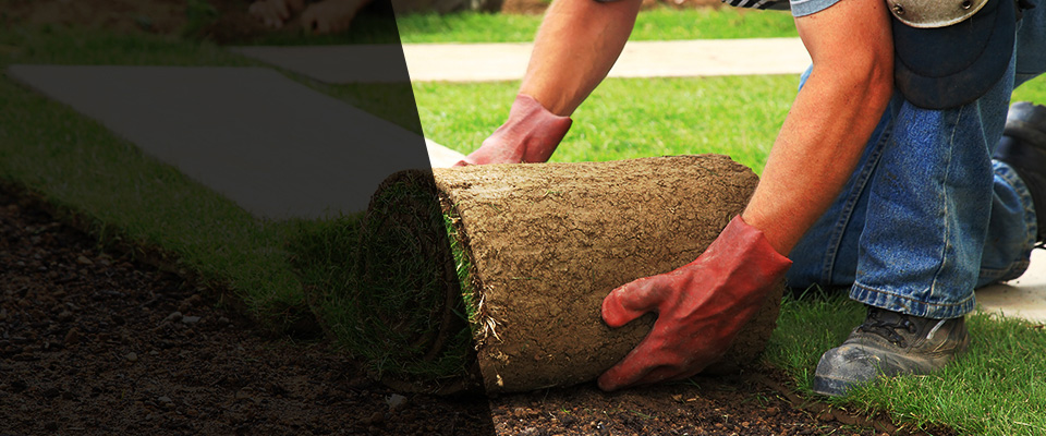 Stoneham Landscapers